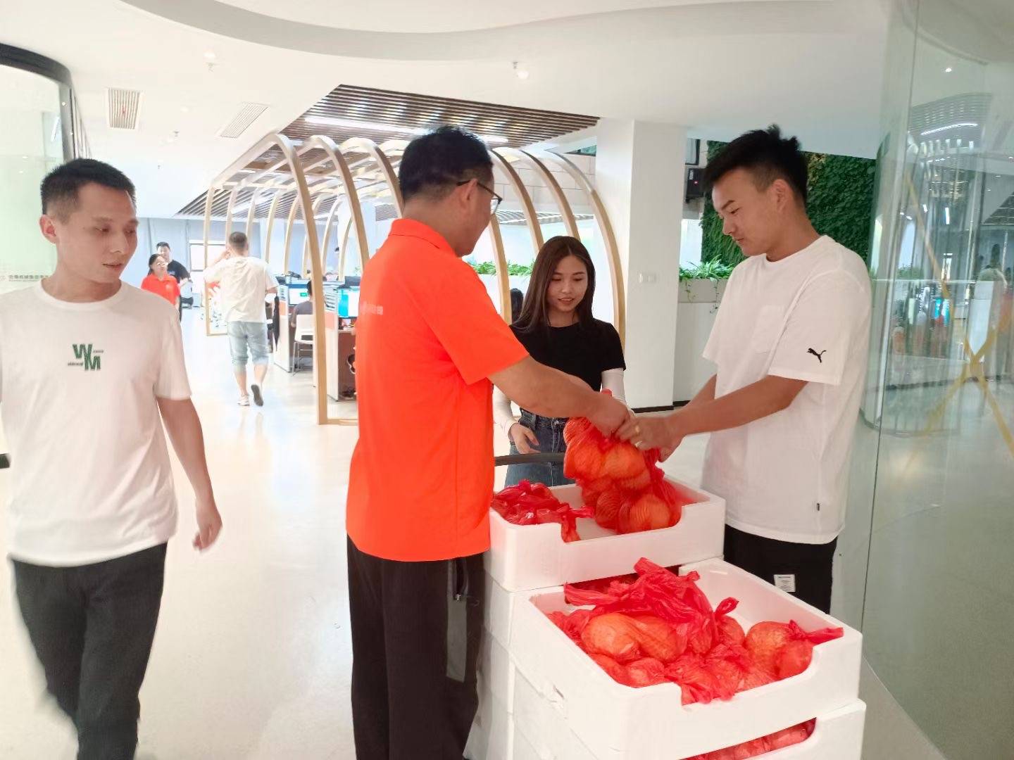 2daa7f47a3678e67_20_1 2daa7f47a3678e67_20_1