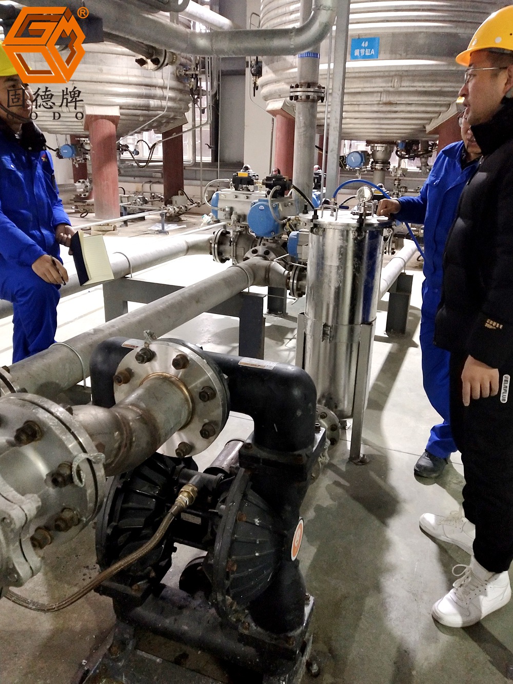 IMG_20240119_115024 IMG_20240119_115024